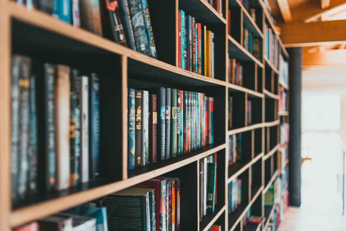 Livros que Inspiram: Leituras Essenciais para Empreendedores