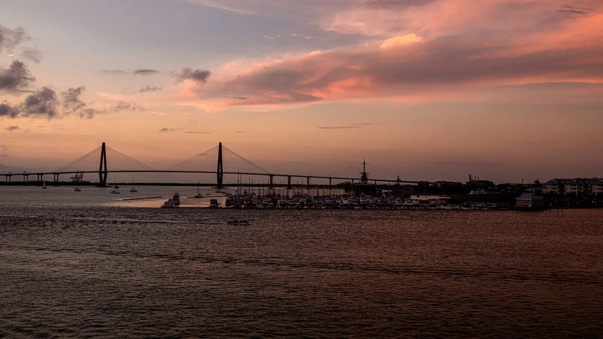 Social Media Management in Charleston, SC: Community Growth and Content Architecture